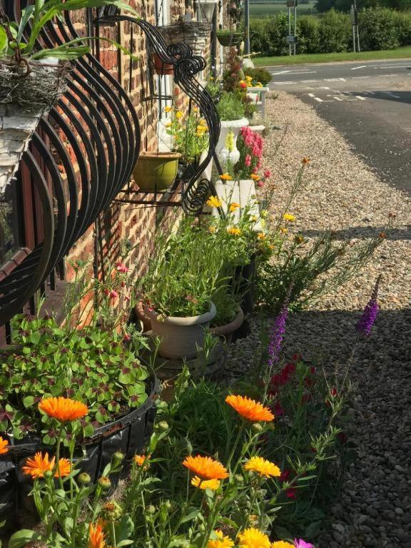 Oyo Yarm Cottages Kirklevington Eksteriør billede